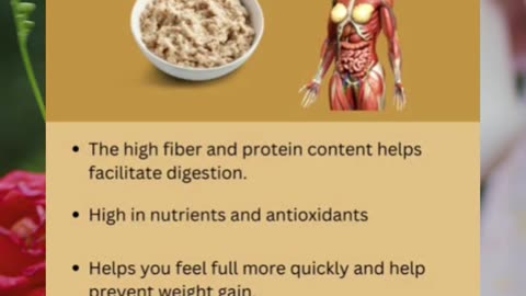 Why Oats Are the Key to Your Daily Health in 2023