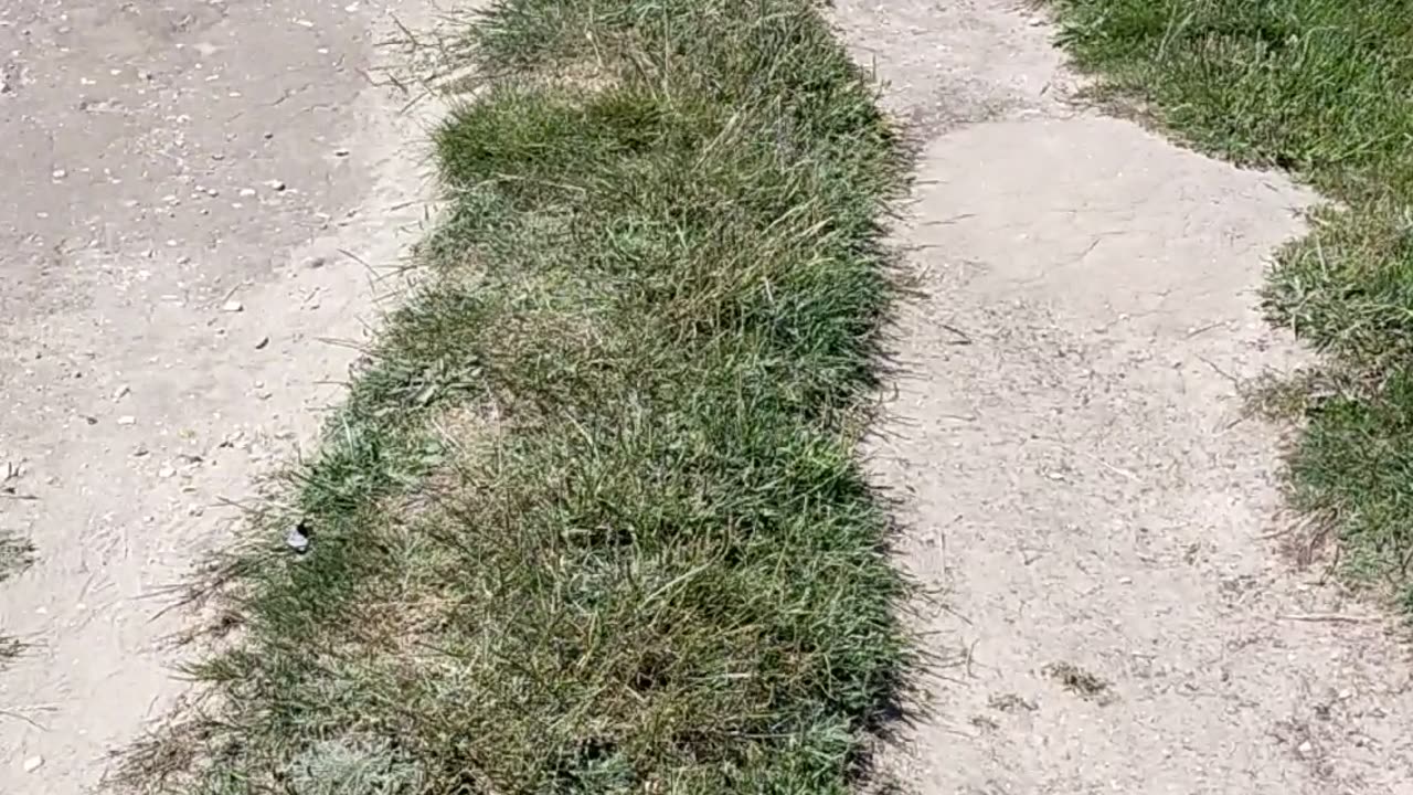 Cliff walk