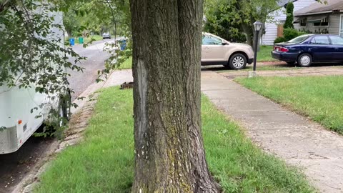 10X Better Lawn