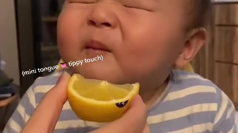 Baby eating lemon