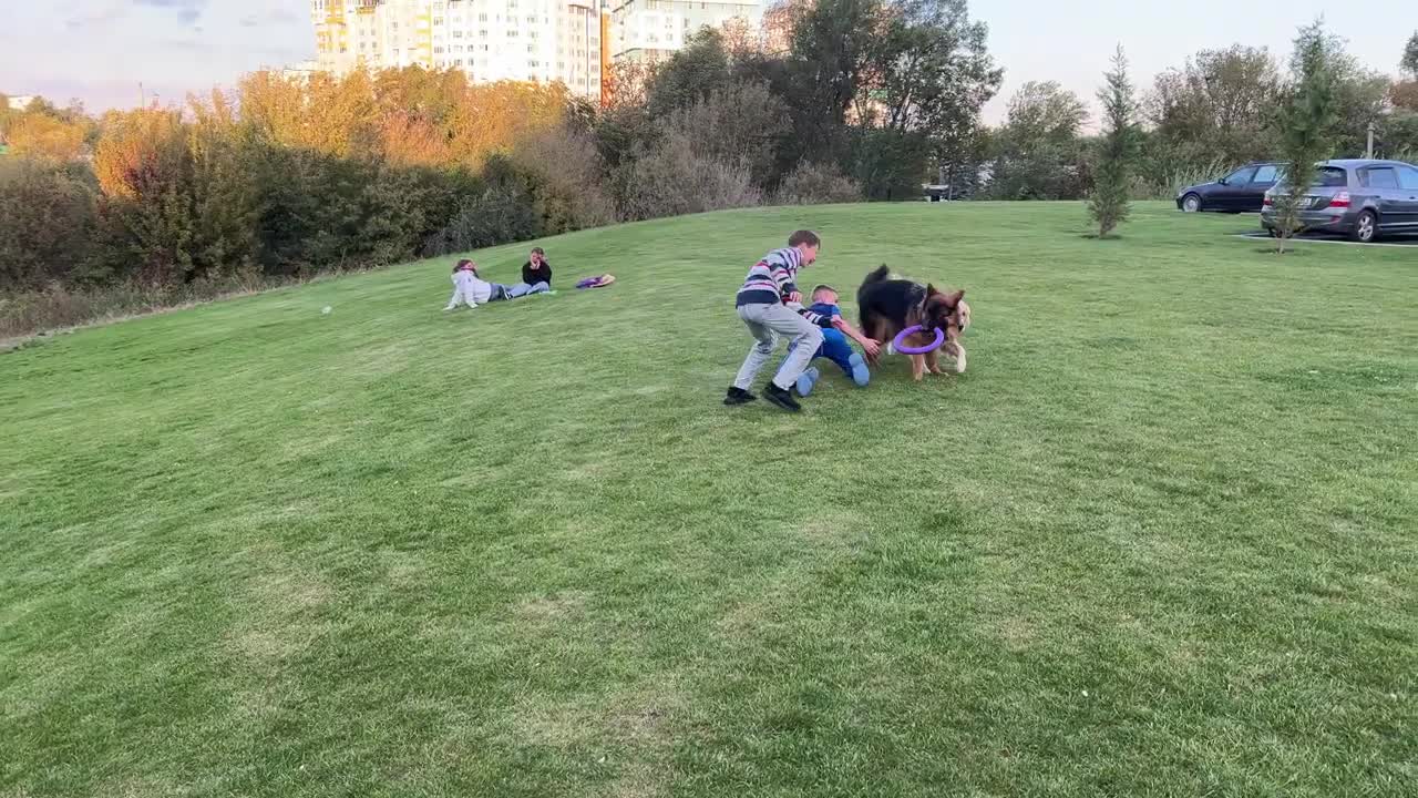 German Shepherd Puppy brings smiles to kids