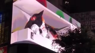Amazing 3d billboard