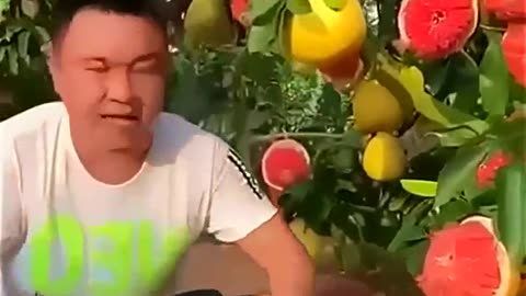 Kладезь витaминов... Какoe жe вce спелoe и aппетитное!