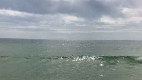 2020.02.18 Jeanine and Porpoises