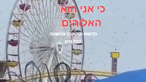 האם הסדר החולני החדש שיחרר מכת יתושים על יושבי החופים