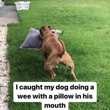 When somone watching find your happy place