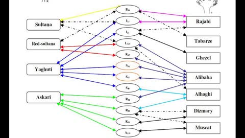 December Bonus 1: Iranian Grape Genealogy