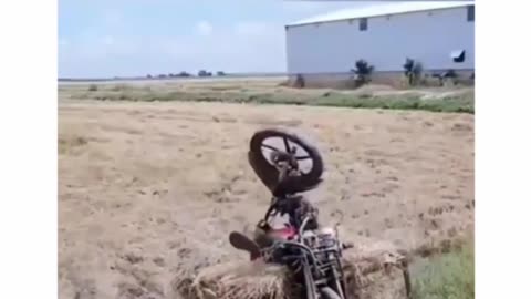 Funny videi