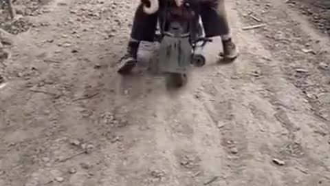 A Chinese dog man taking dogs bred on dog farm to the slaughterhouse