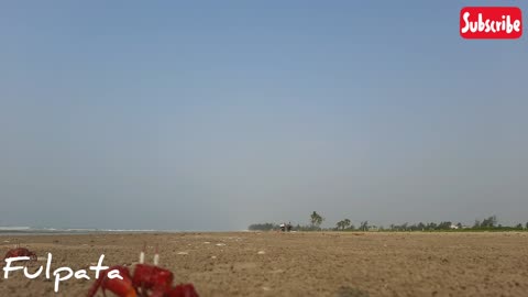 Mandarmoni izzifiso nature camp