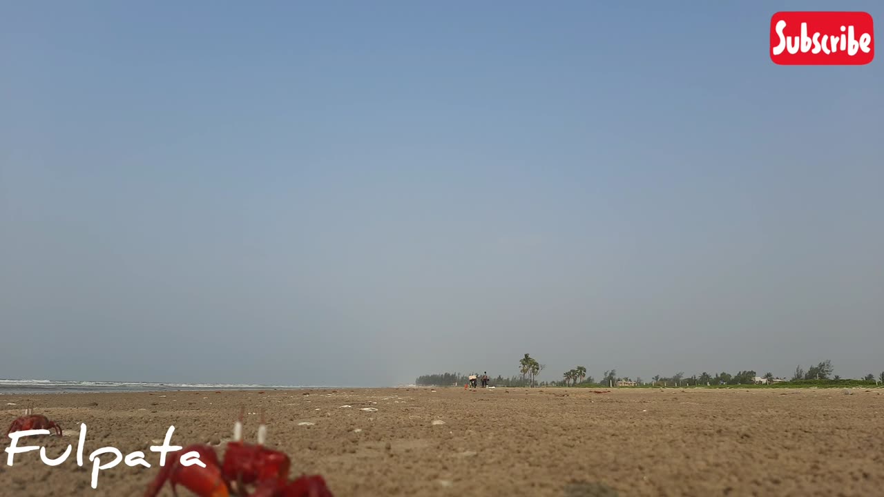 Mandarmoni izzifiso nature camp