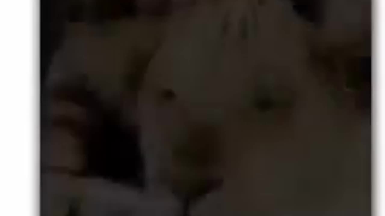It is a true love of beautiful girl and lion