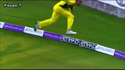 Cricket video