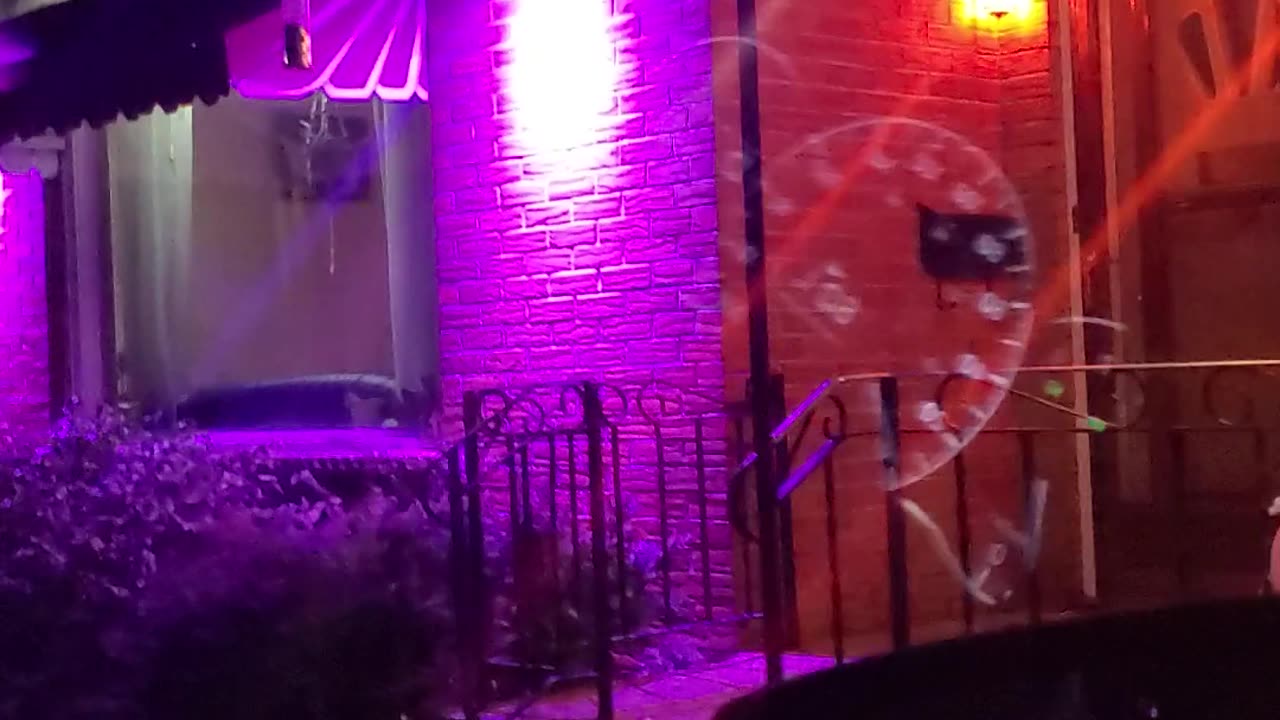 THIS HOUSE SUPPORTS 🌈 PRIDE 🏳️‍🌈 MONTH