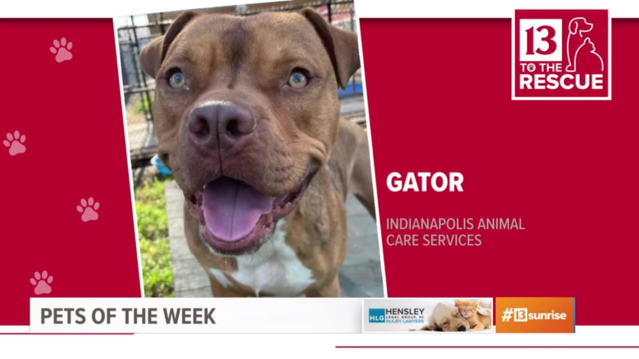 PETS OF THE WEEK
