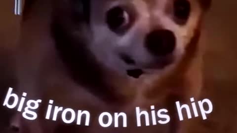 ＢＩＧ ＩＲＯＮ