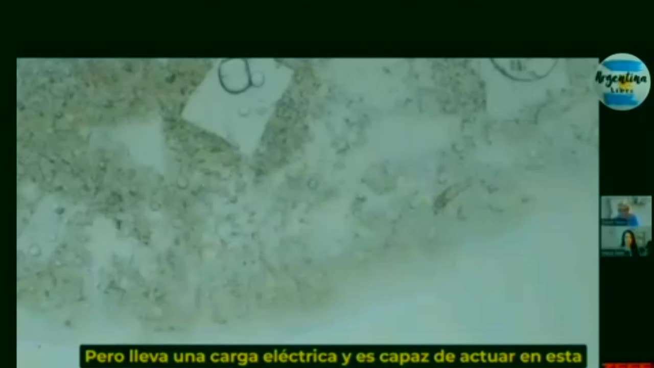 La única alternativa para limpiar en el cuerpo humano, las VACUNAS..!🤔