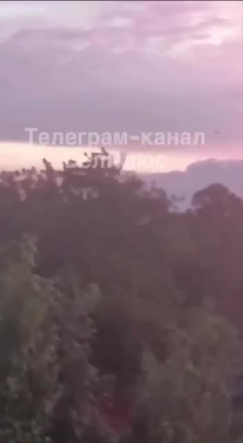 More footage of the arrival in the Belgorod People's Republic 🦁