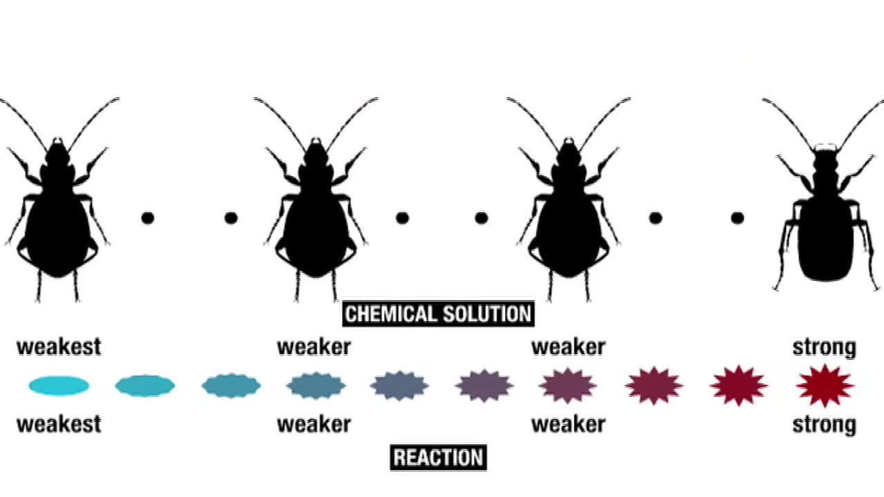Irreducible complexity cut down to size [ MIRROR ]