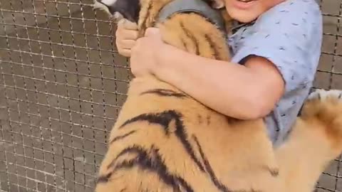 Naughty Kid Playing and Hug with Bengal Tiger | Nouman Hassan |