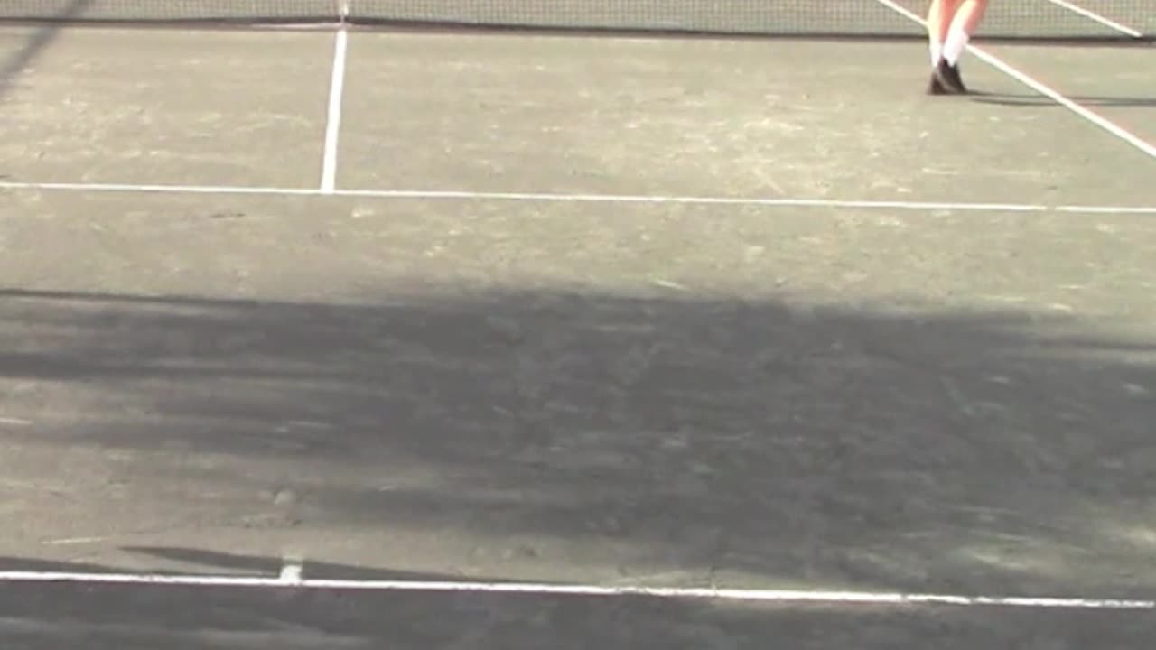 VOLLEY TO THE OPEN COURT FOR THE POINT!