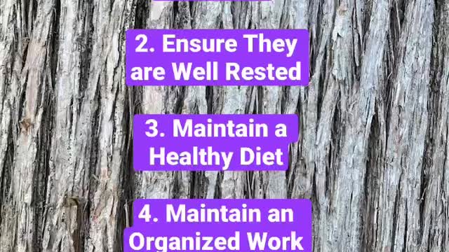 5 Habits of Successfull People