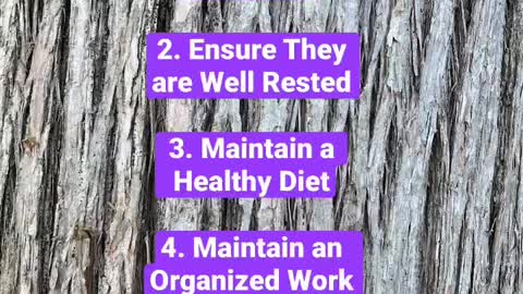 5 Habits of Successfull People