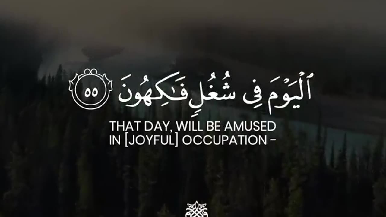 Surah yaseen / qari tareq mohmmed