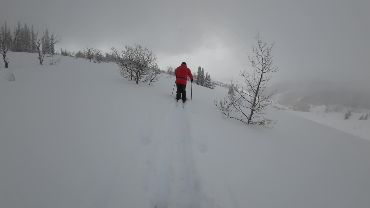3/27 #3 1st run down Mary's boundry broke trail to get to it.