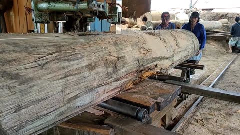 Sawmill Processing Red Meranti Wood Using A Chainsaw