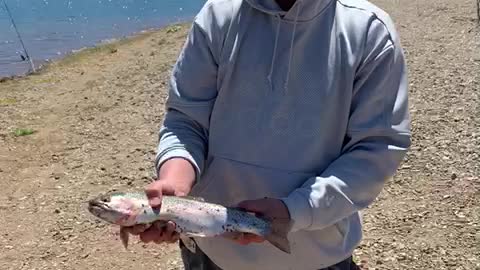 Paulie caught one