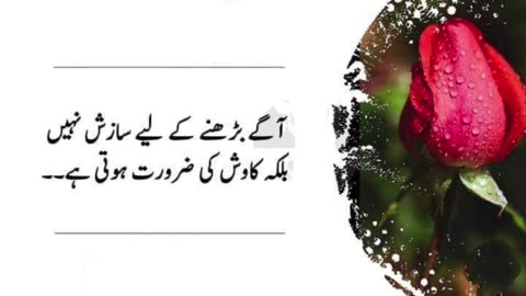 Best urdu Quotes #urduquotes