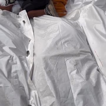 Endless Images, No Change: The Call for a Ceasefire Amidst Ongoing Conflict