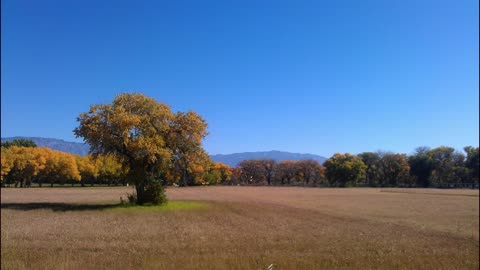 Autumn Solar Meditation