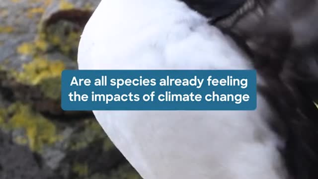 Celebrate EarthDay by learning more about the wildlife we share this planet with 🌍