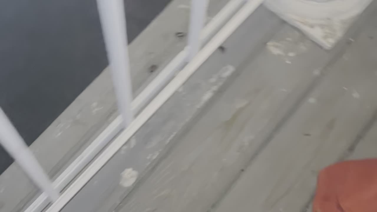 Sky loves eating bugs?!