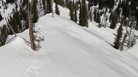 Causing a small wet slide in the backcountry