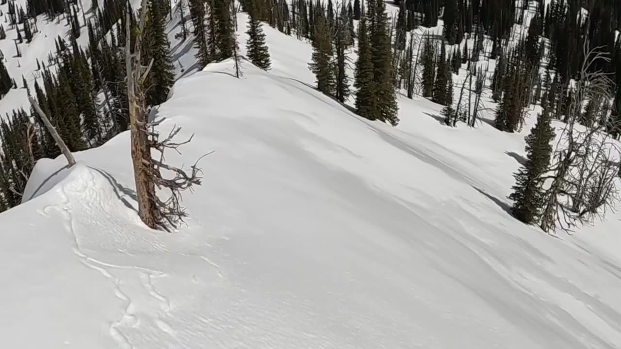 Causing a small wet slide in the backcountry