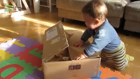 Short video