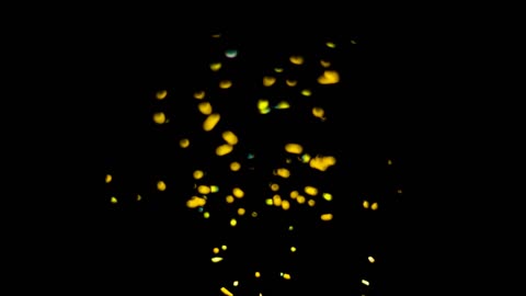 Lord Winter - Fireflies