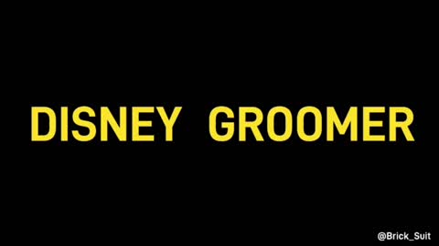 Paging 'Disney Groomer' at airport!😂