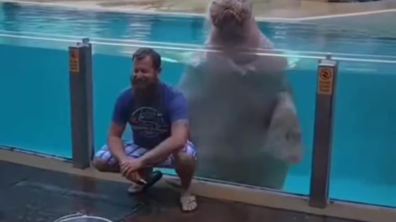 #animals #funnyvideos #funnyanimals #funnyfails #viral #trendingreels