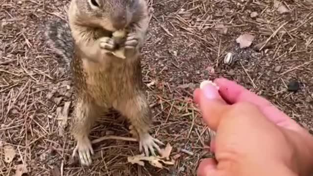 that such a blow would have crushed
