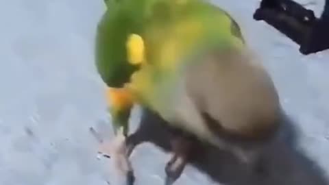 🤣