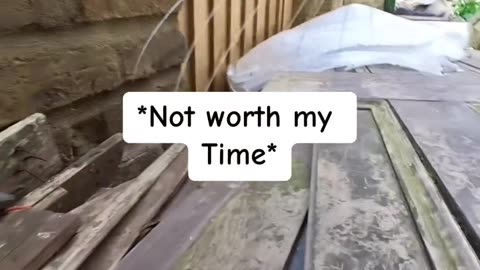 Cat Cam Adventures: Purr-fectly Captured Moments of Feline Fun!"