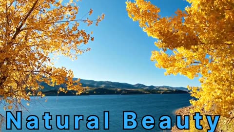 Natural Beauty in Universe