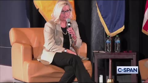 Liz Cheney Vows to Support Democrats In Arizona Election (VIDEO)