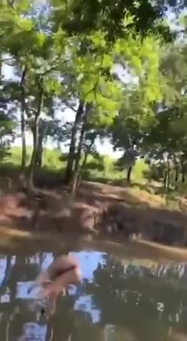 👻😱 Abnormal Activity 😱👻