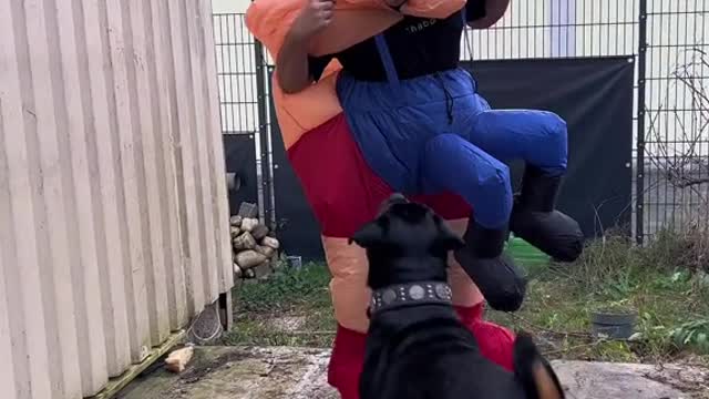 Du hast doch gesagt Canelo Hilfe!😂