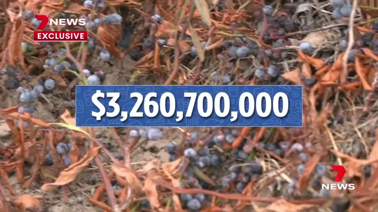 Farmers warn Australia is on the brink of a food crisis | 7NEWS